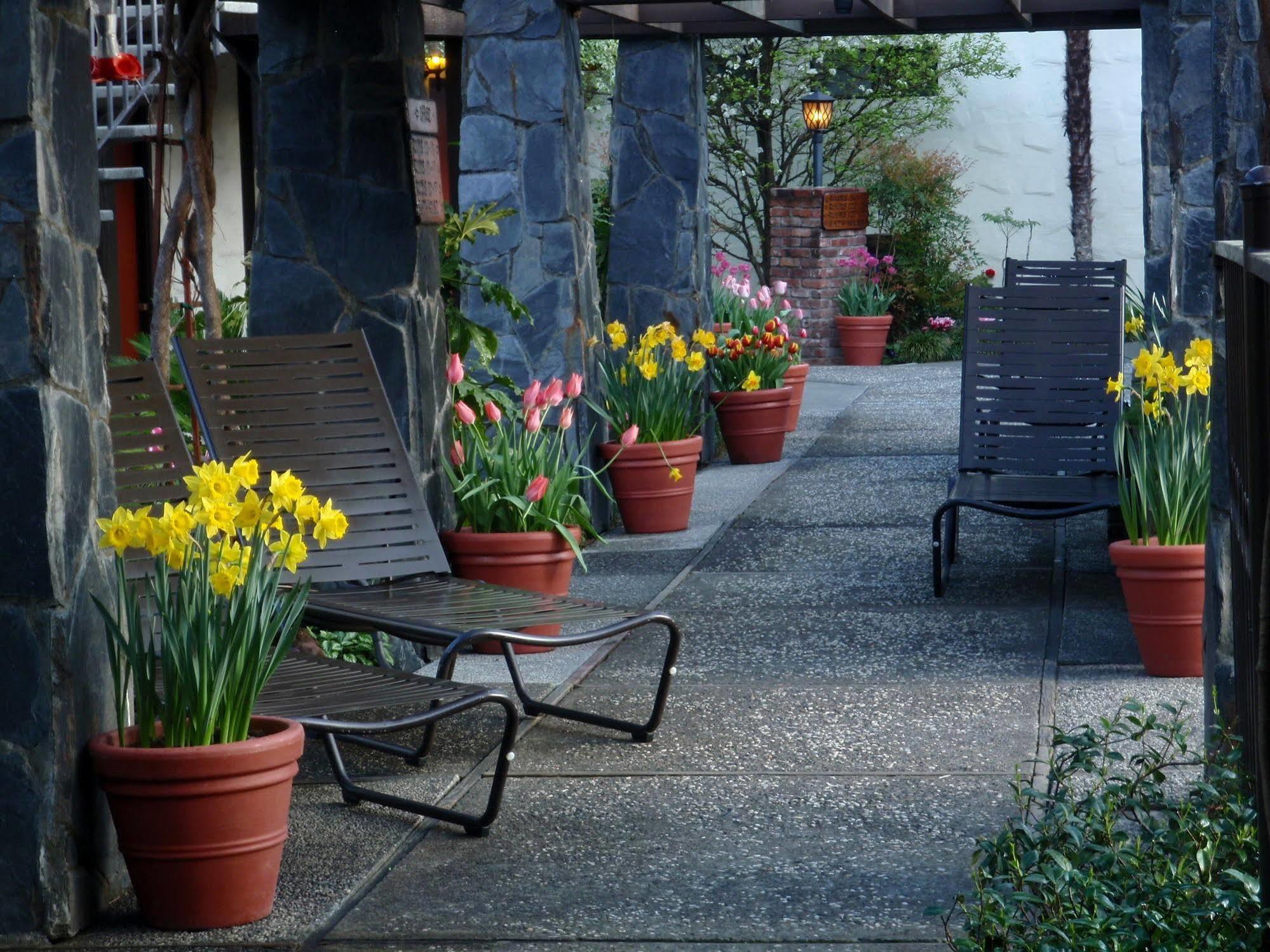 Roman Spa Resort Calistoga Luaran gambar