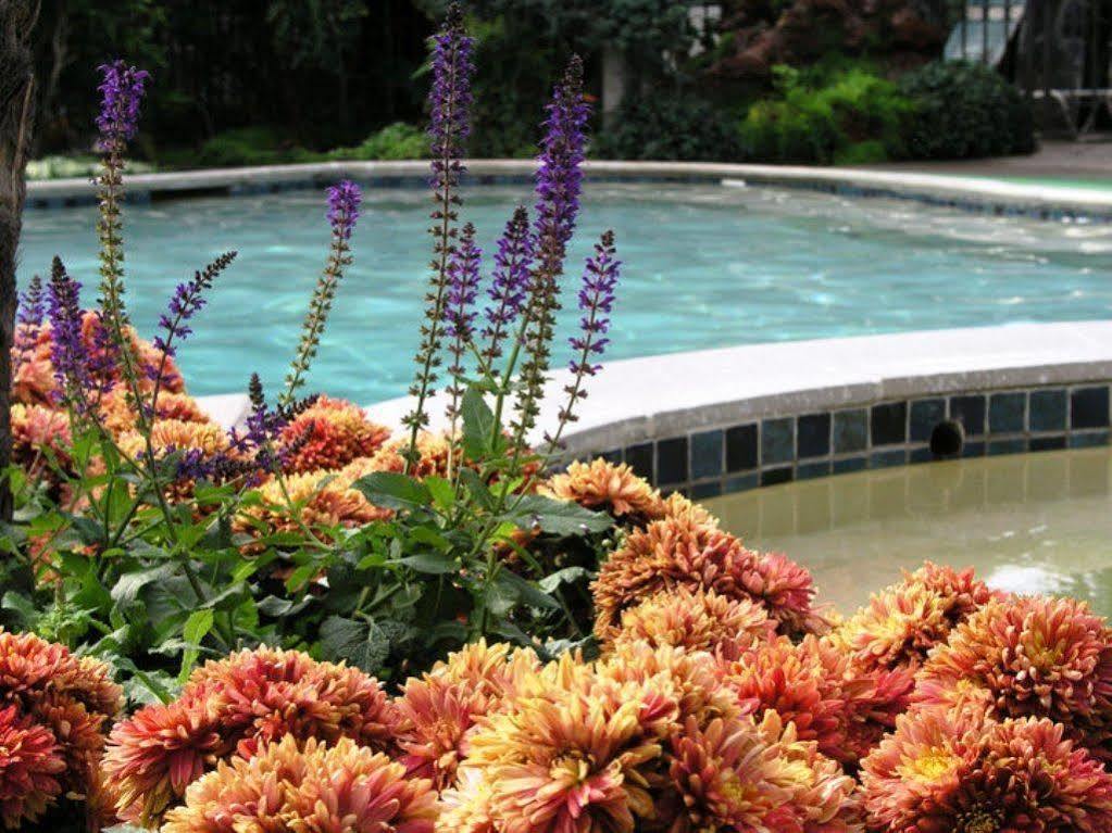 Roman Spa Resort Calistoga Luaran gambar